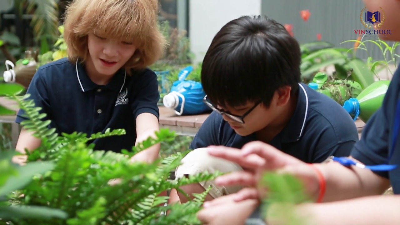 (HCM) Học Sinh Vinschool Central Park Và Niềm Đam Mê Trồng Cây Nắp Ấm