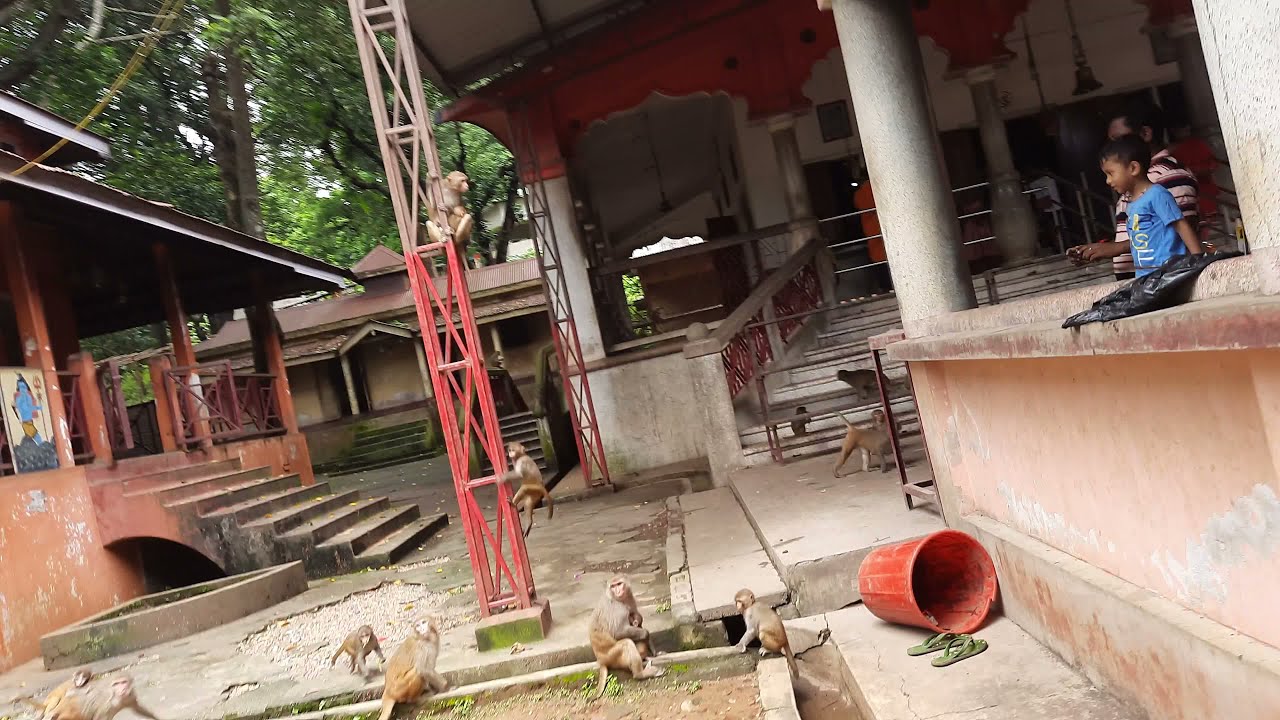 Mahamaya Temple