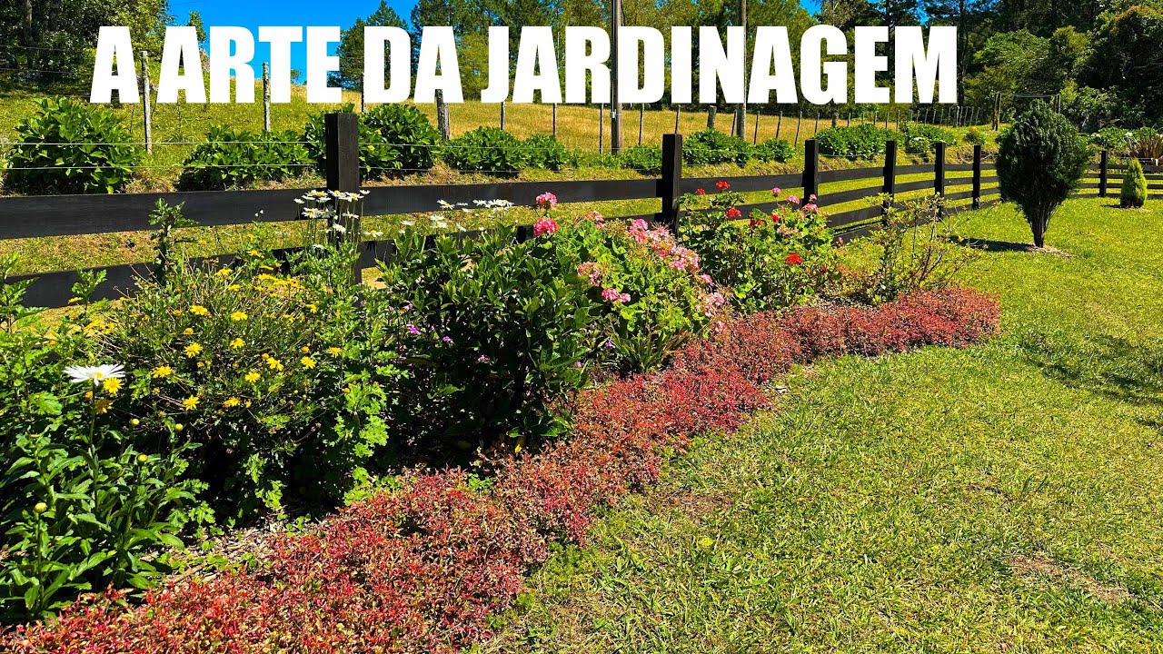 JARDINAGEM DA VIDA REAL: A ROTINA SEM FILTRO