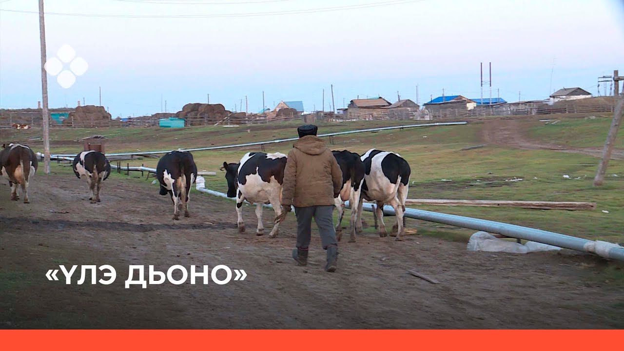 «Үлэ дьоно» биэриигэ: Хаҥалас Тиит Арыытын олоҕо-дьаһаҕа (04.10.21)
