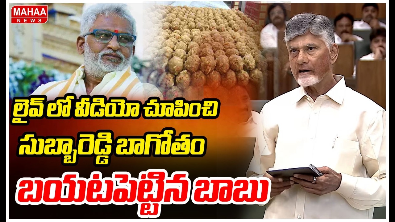 లైవ్ లో వీడియో చూపించి సుబ్బారెడ్డి బాగోతం బయటపెట్టిన బాబు | CM Chandrababu | Mahaa News