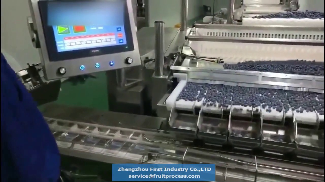 Blueberry packing equipment