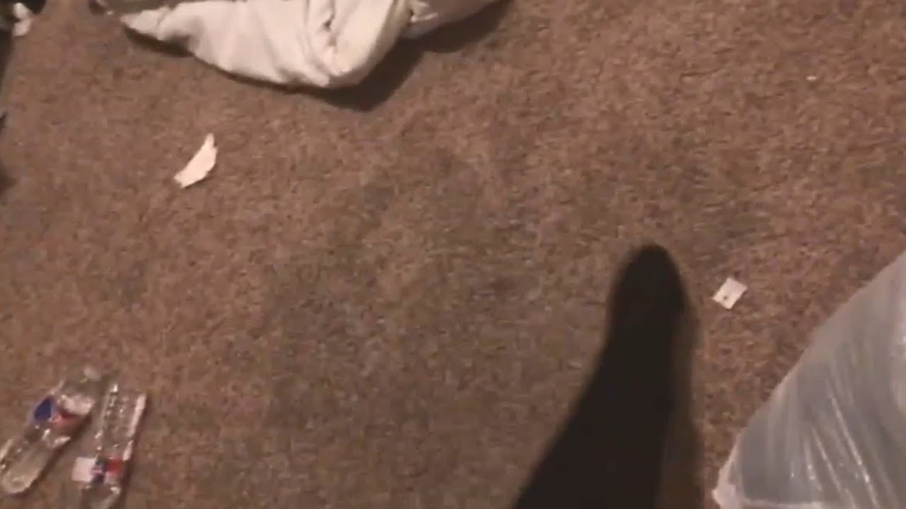 Rebellegame Cleaning Her Room POV