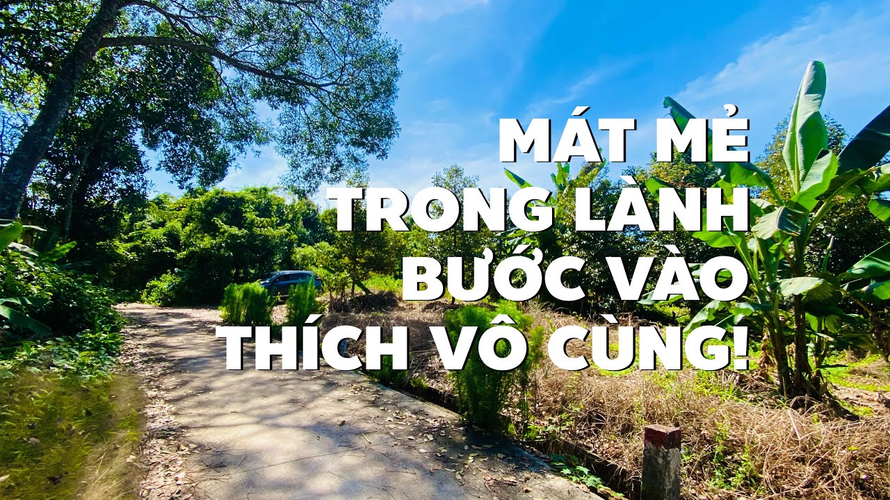 Giá mềm xèo! Ko tới 600tr vườn sầu riêng ở BR-VT gần hồ Kim Long, gần trường học (ĐÃ BÁN)