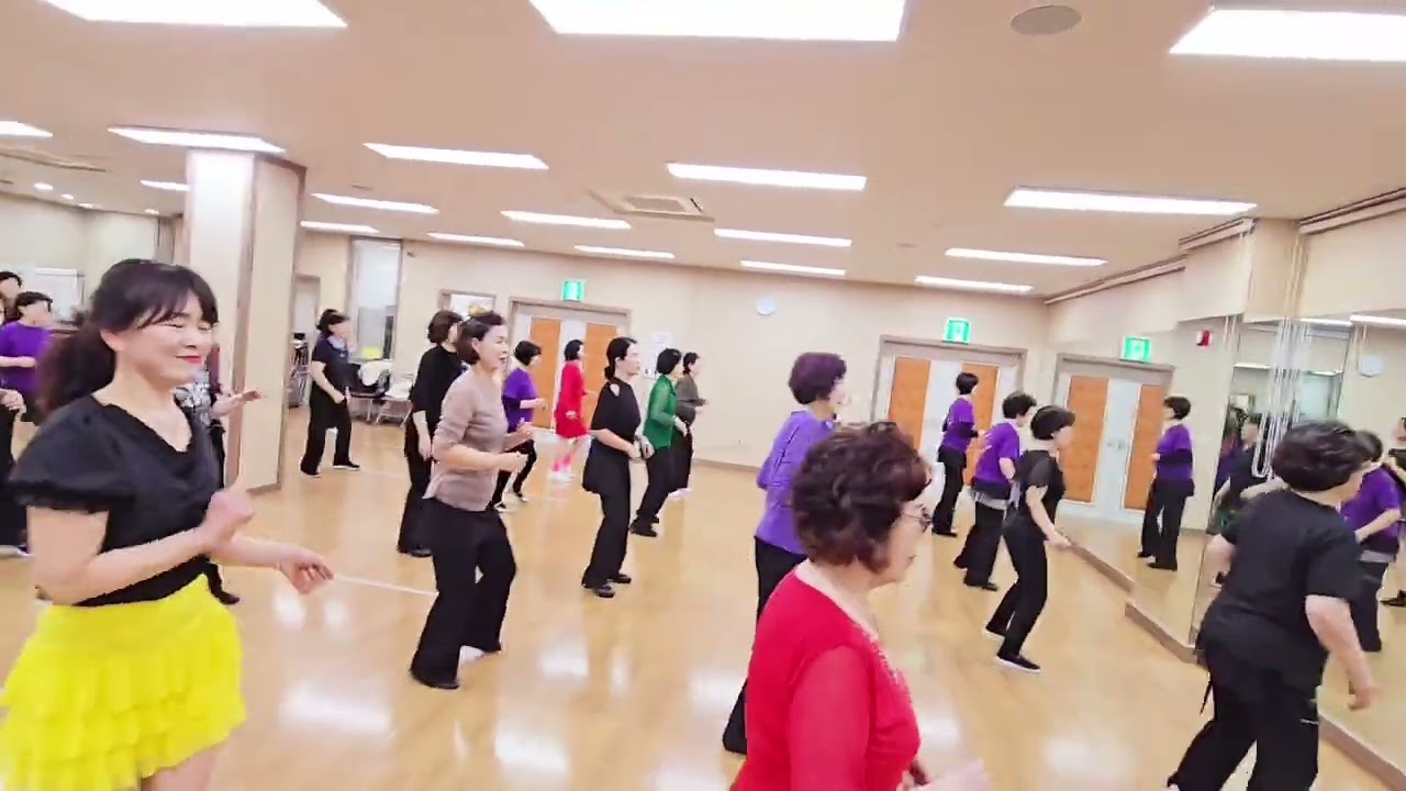 Samba Do Brasil Linedance/High Beginner/     삼바 두 브라질 라인댄스