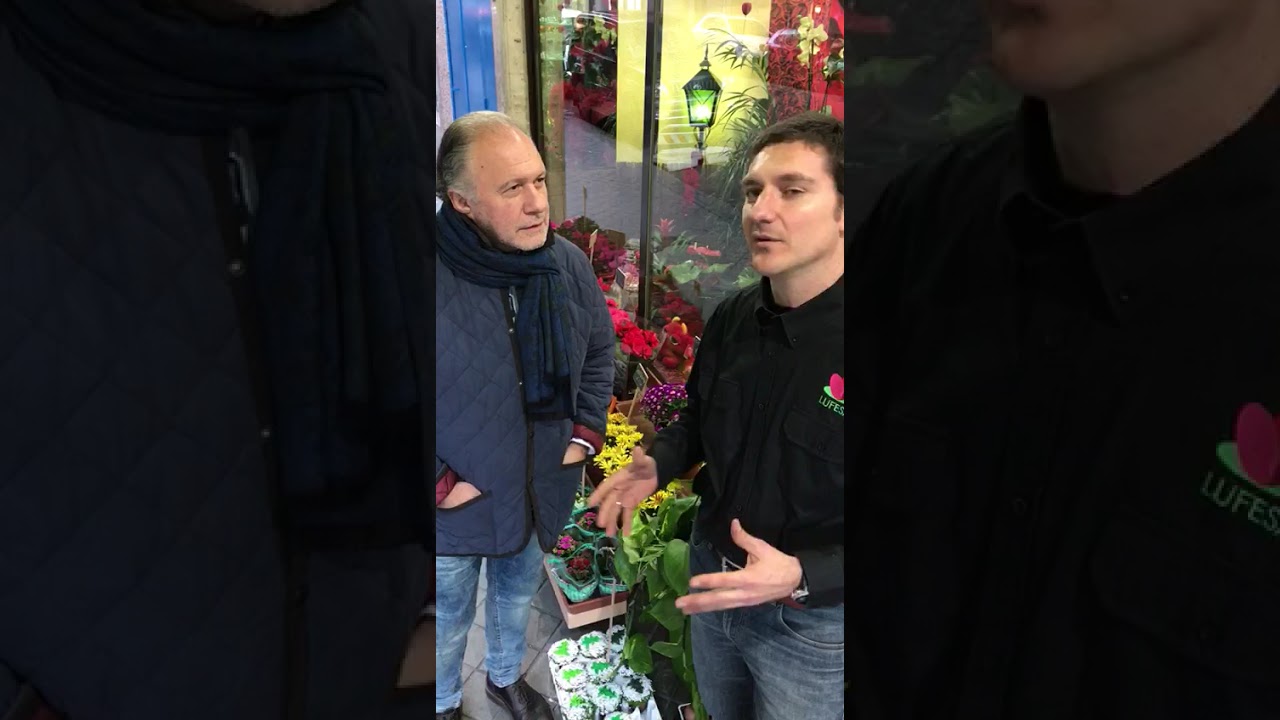 FLORES Y PLANTAS EN LUFESA FLORISTAS 