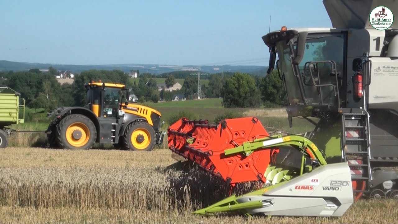 Weizenernte 2025 mit Claas Lexion 8800, JCB, Valtra, John Deere bei Multi Agrar Claußnitz