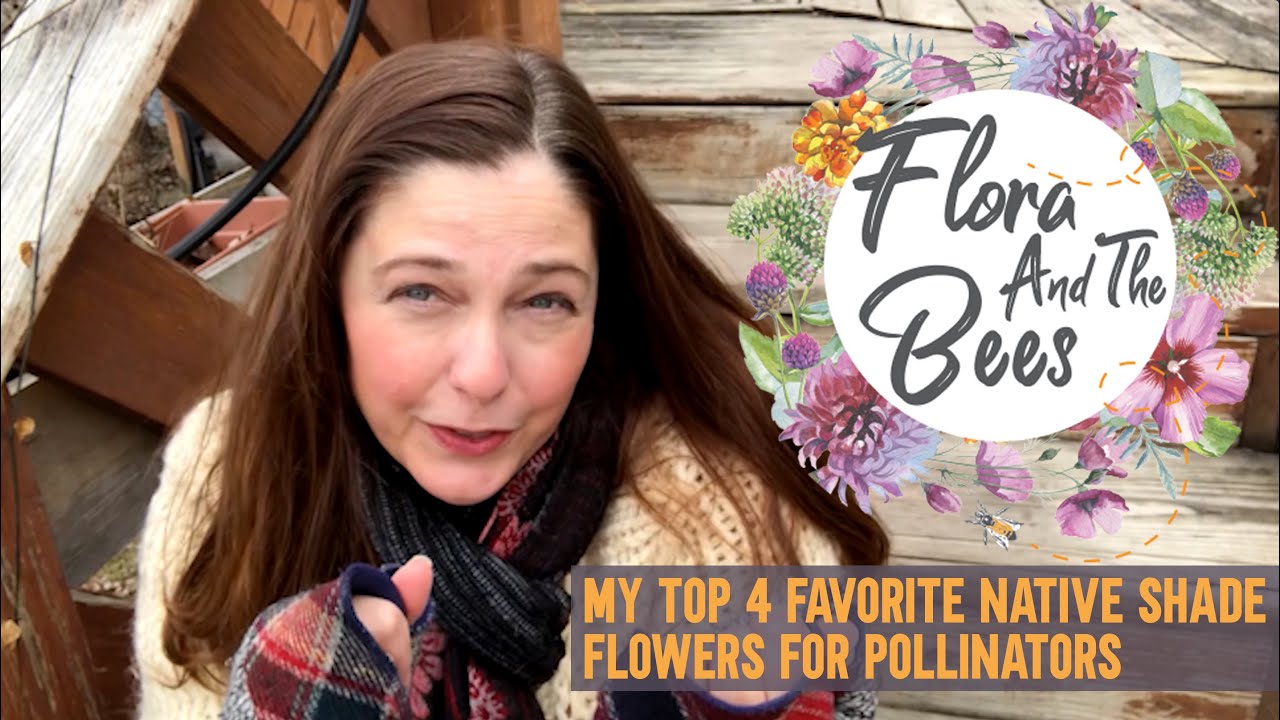 Best Native Shade Plants for A Pollinator Shade Loving Flower Garden | 