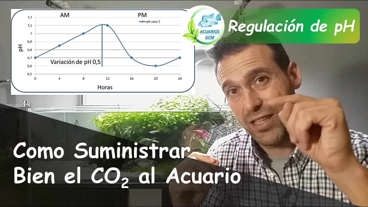 Cómo Tener un pH CONTROLADO Y ESTABLE en el ACUARIO PLANTADO: Usa CO2 las 24 Horas