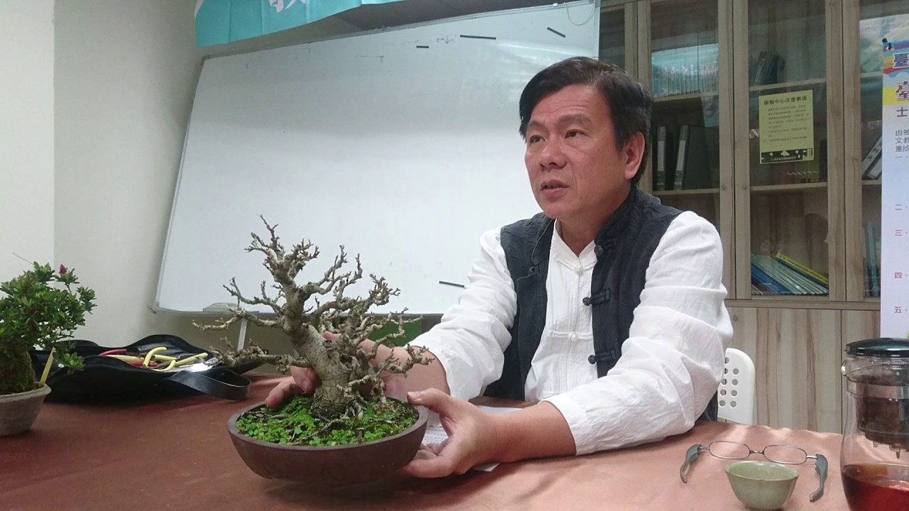 【林慶祥盆景藝術創作教學】林慶祥老師解說處理的角度及時間