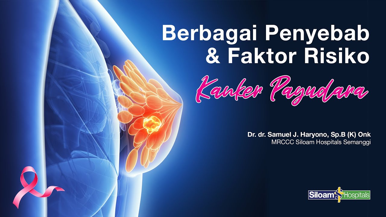 Berbagai Penyebab & Faktor Risiko Kanker Payudara