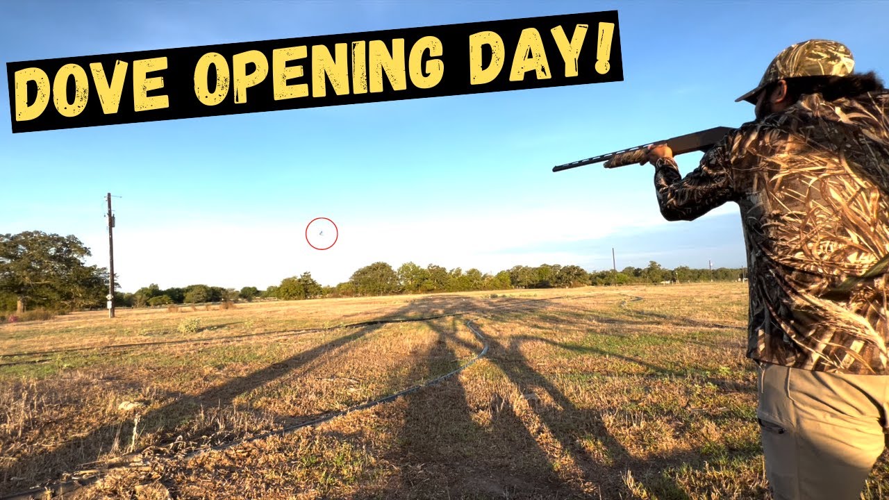 Texas Dove Opening 22' - Texas Public Hunting