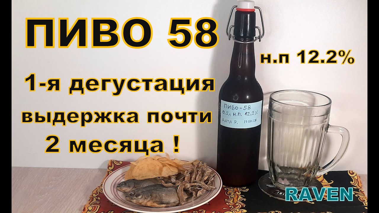 ПИВО 58 1 я дегустация