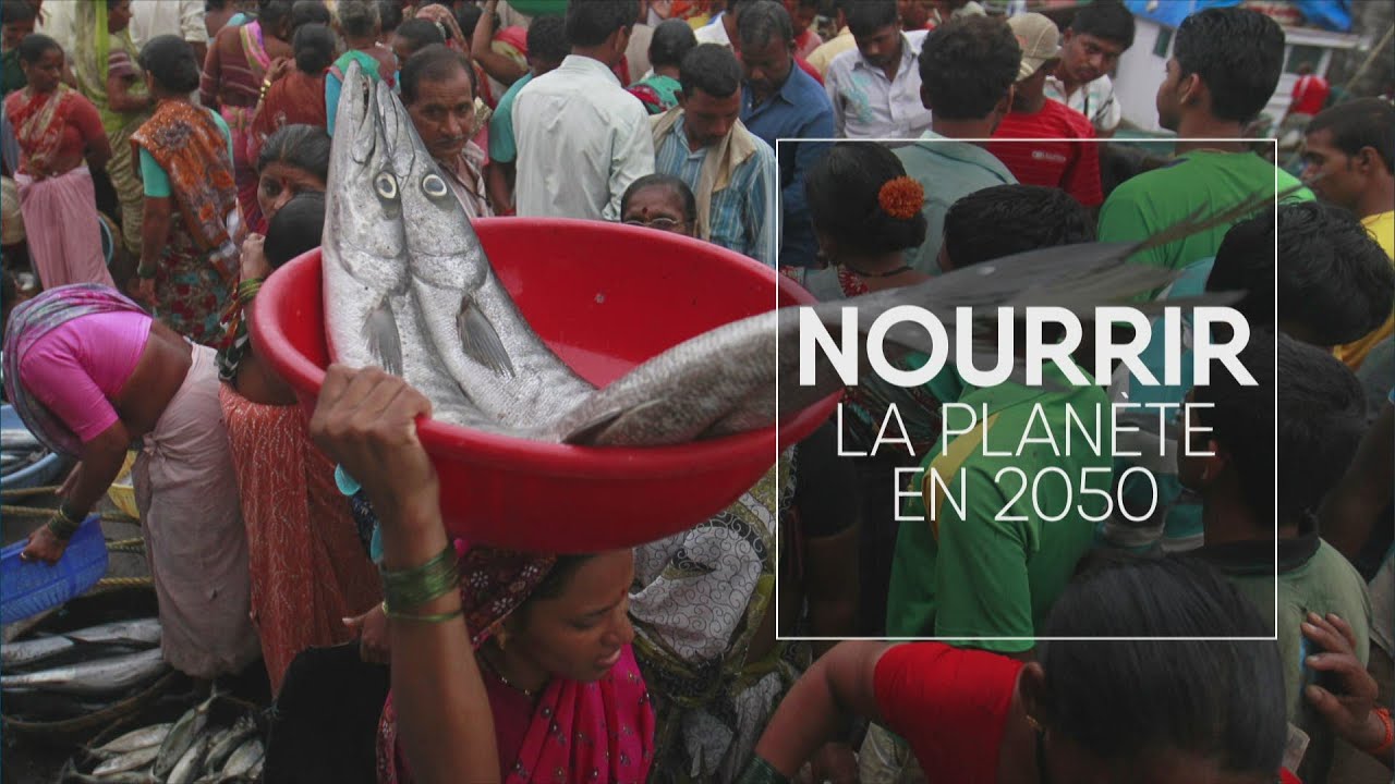 Nourrir la planète en 2050