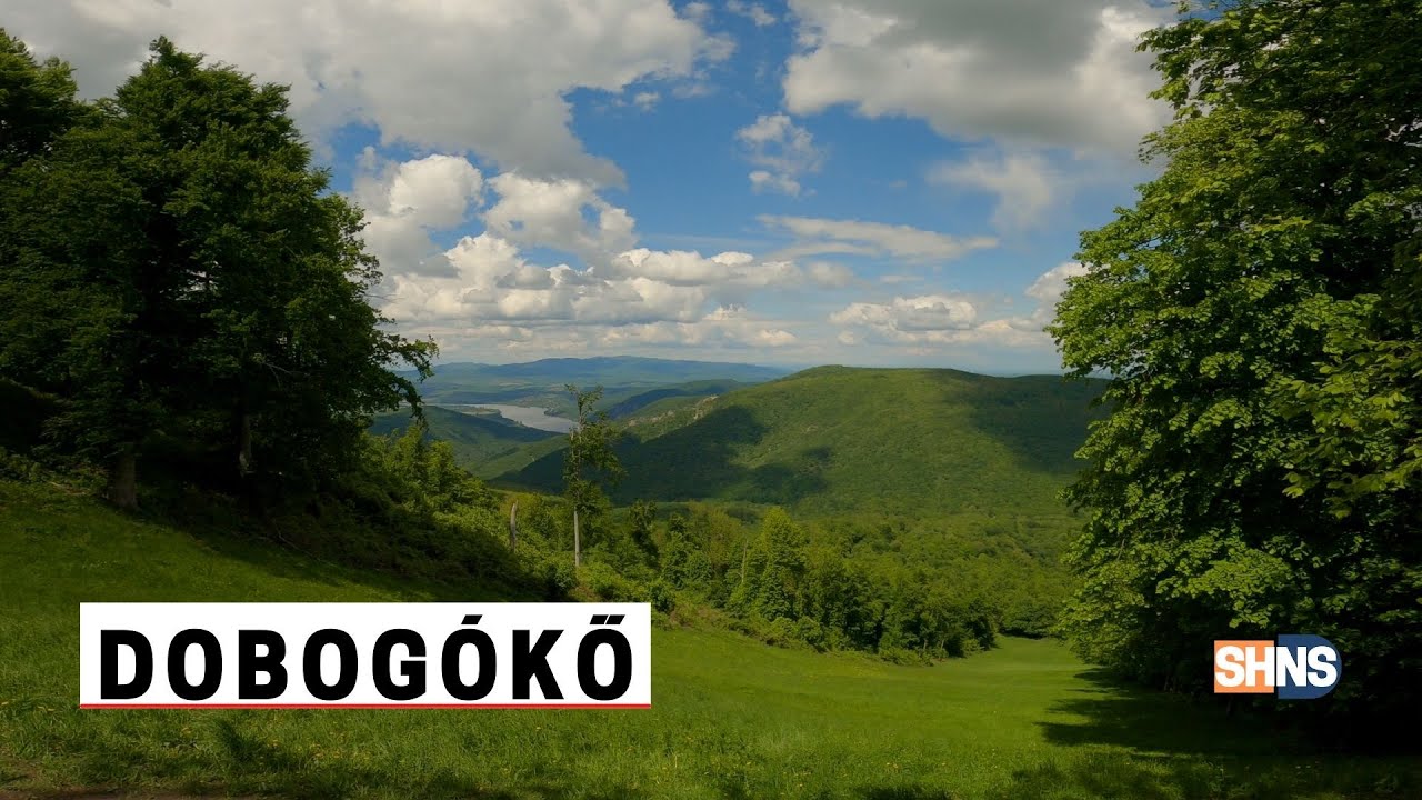 50 km/h-val a PILISBEN 🚴| Kerekpárral Budapest - Esztergom
