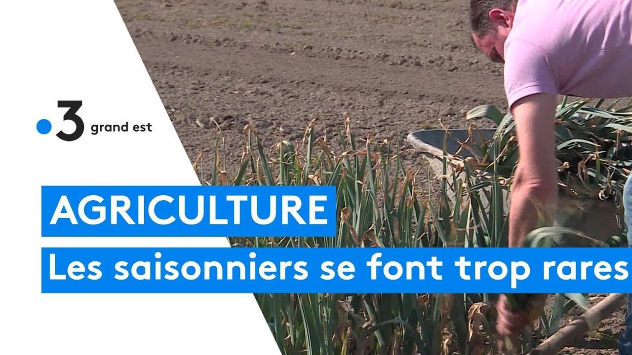Un mara&icirc;cher se fait aider par sa femme et sa fille, soignantes, faute de main d'&oelig;uvre