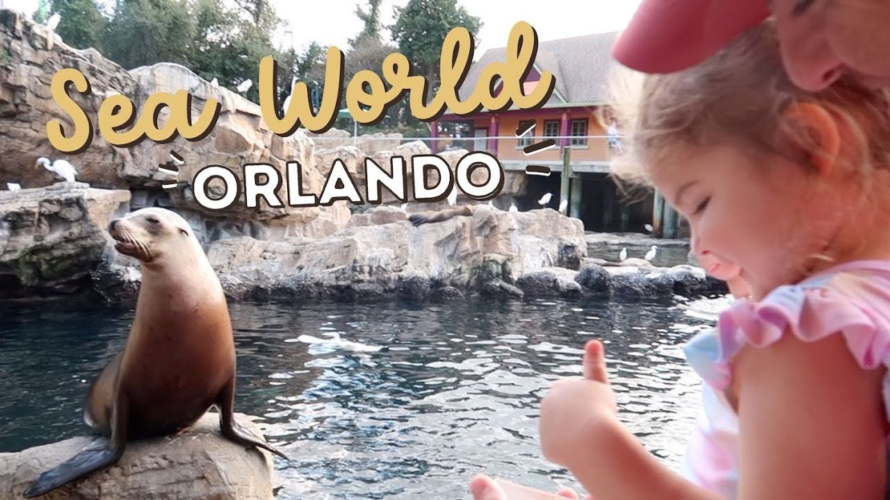 SEA WORLD WITH TODDLERS 🐠💦☀️ | sesame street land, feeding sea lions, all the things! | KAYLA BUELL