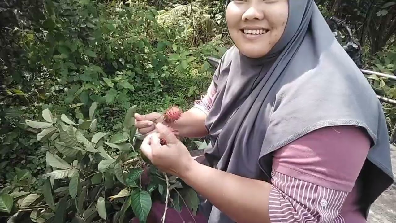 Satu gini oleh oleh buat keluarga ditembilahan