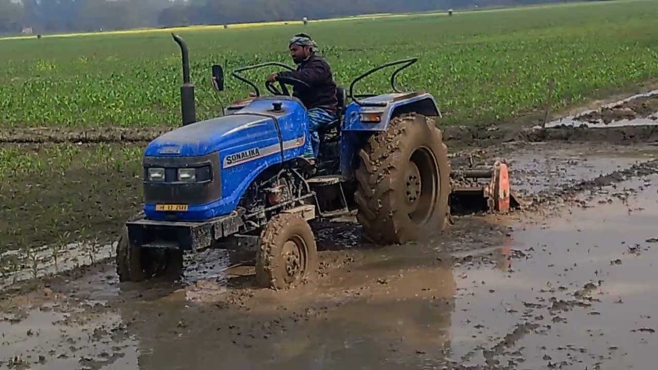 Tractor wala video 🚜 dhaan khet mein HAL jotane wala video#sonalika #video #tractor #viral 15k view 