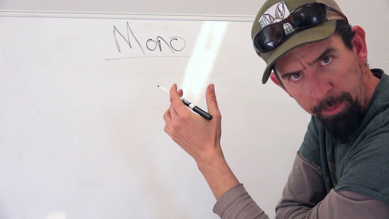 Musky Leaders Part: I Mono Vs. Steel