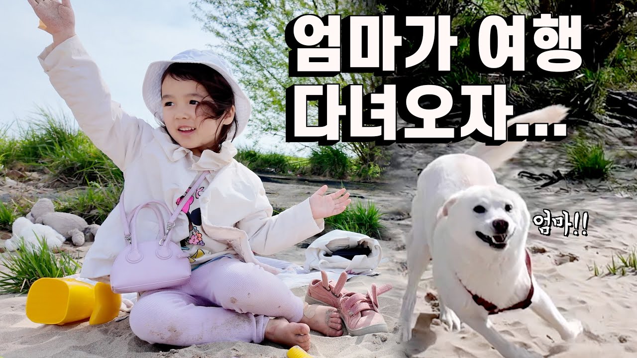 엄마를 일주일 만에 본 아기와 강아지들 반응! (feat. 전염병 걸린 봉글이ㅠ🤒)