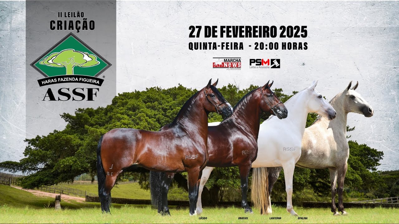 Live de Apresentação do II Criação Haras Figueira