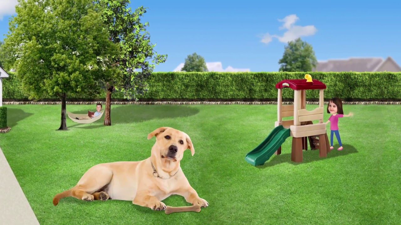 The Benefits of Healthy Lawns and Landscapes