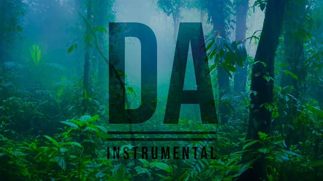 PNL // DA (instru)