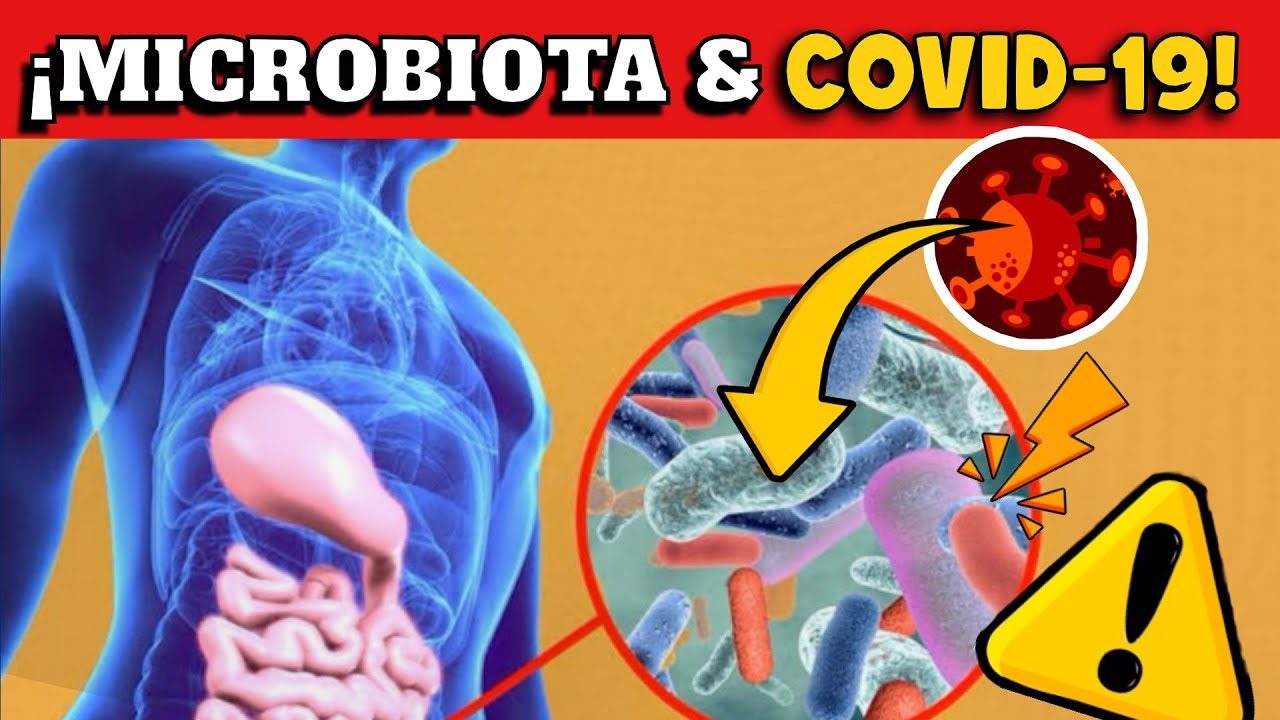 &iexcl;CUIDADO! INVESTIGACI&Oacute;N REVELA QUE COVID-19 AFECTAR&Iacute;A A LA MICROBIOTA INTESTINAL !!