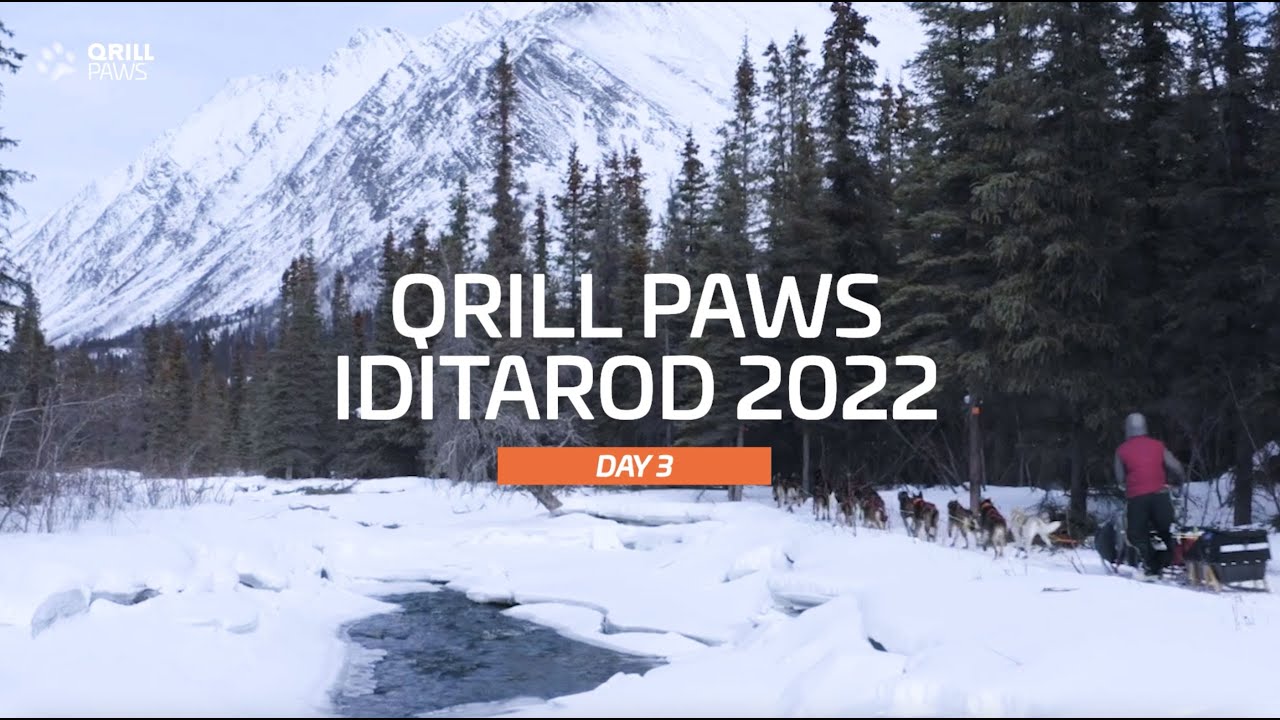 Iditarod Highlights | DAY 3 | QRILLPAWS 2022