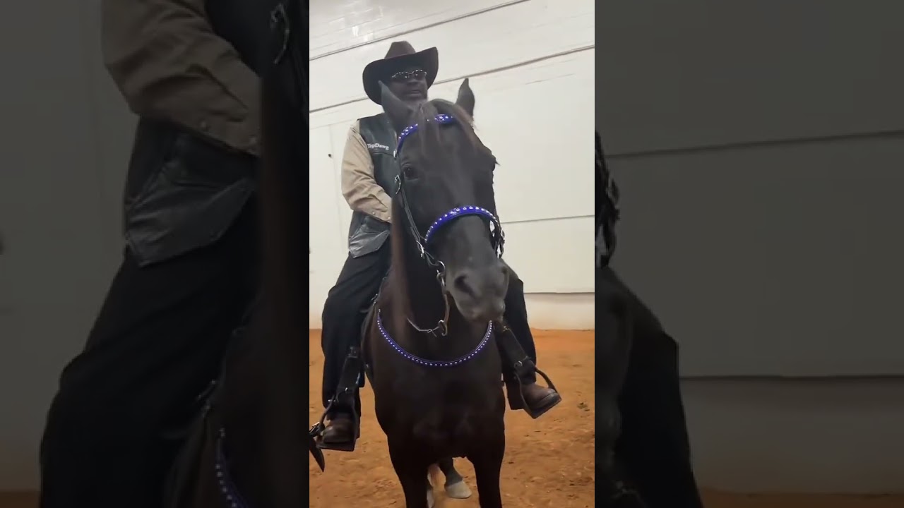 POV: Black Rodeo 2025 #rodeo