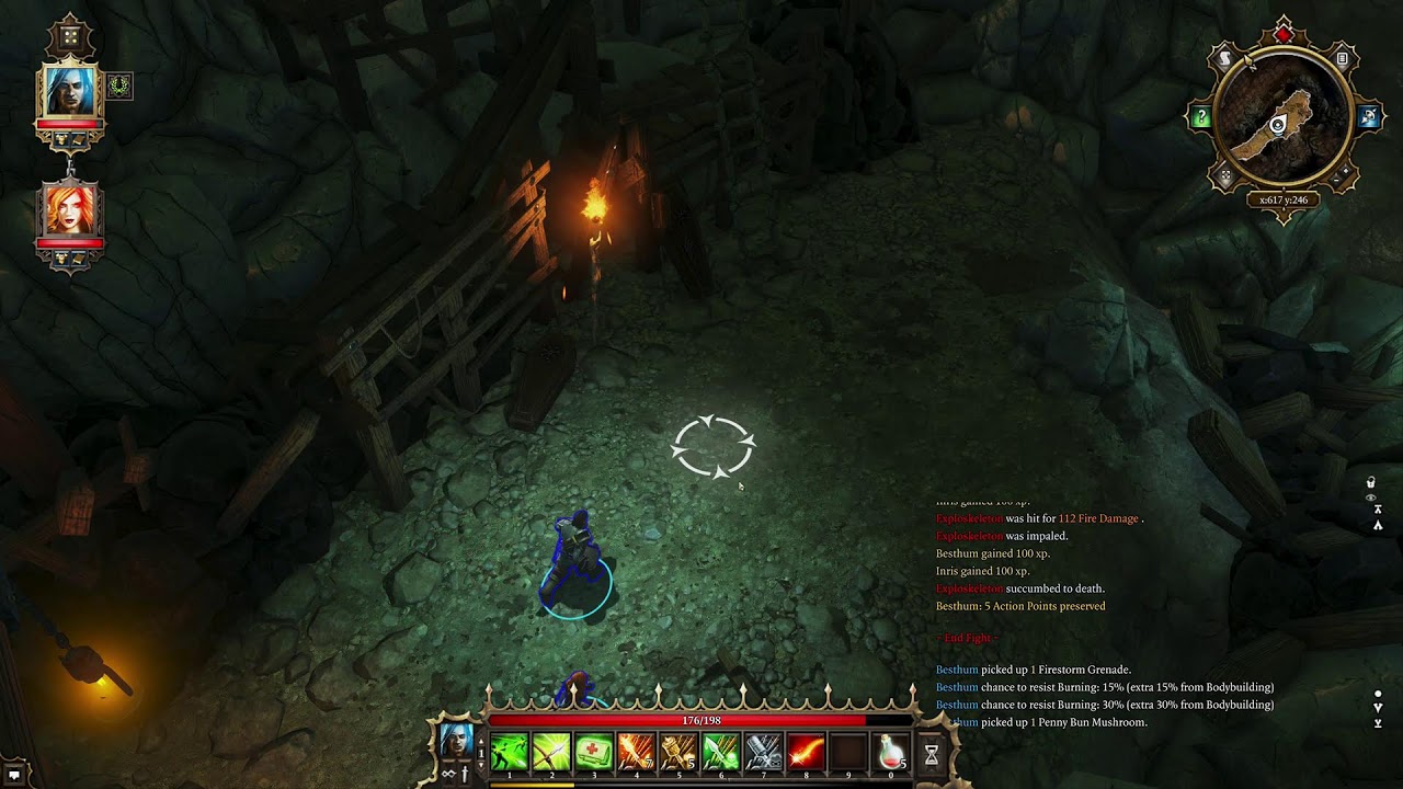 Divinity: Original Sin - Enhanced Edition