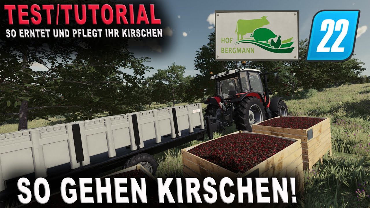 LS22 Tutorial / Test - Hof Bergmann - Kirschen so erntet und pflegt ihr sie!