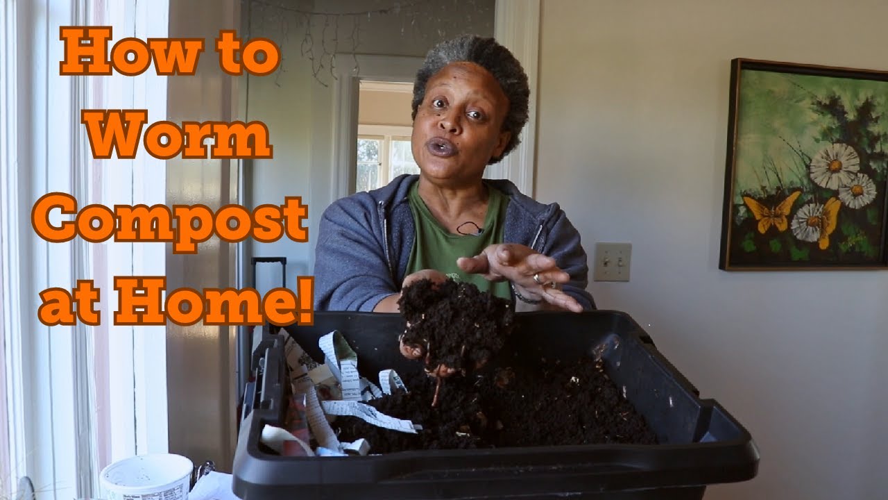 How To Worm Compost at Home!
