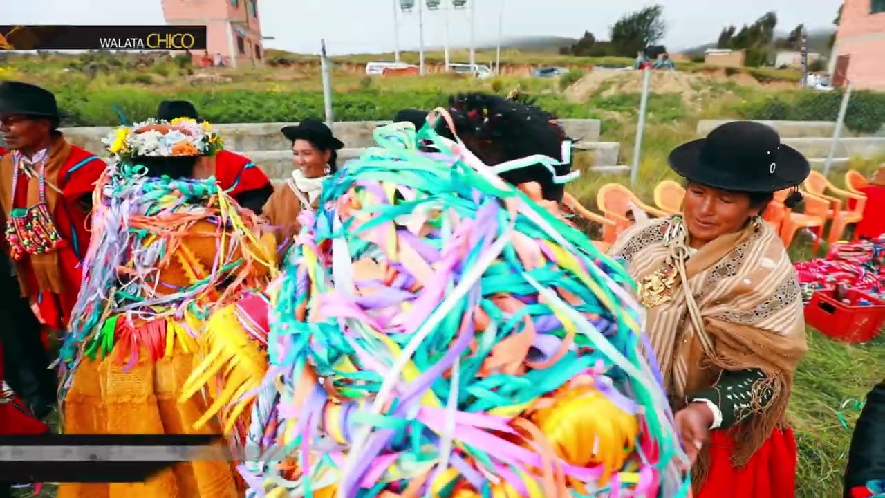 CHUTAS CHOLEROS - WALATA CHICO ZONA LAZO 🇧🇴