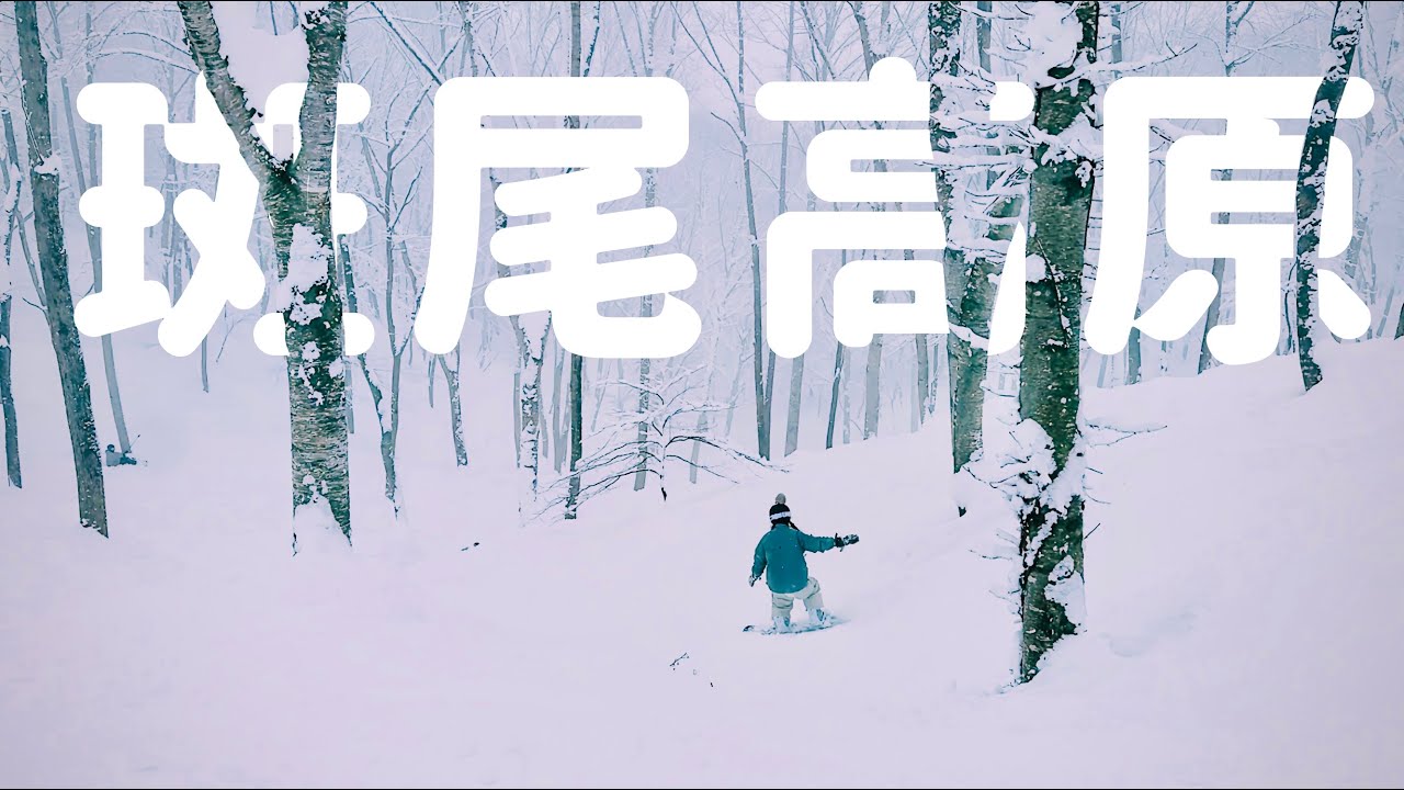斑尾滑雪 VLOG | 22人大亂鬥！成田租車直殺長野 集合比滑雪還難 容毅滑雪團不容易
