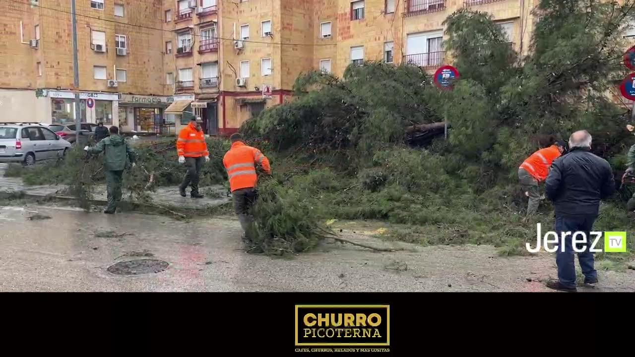 JEREZ TV 🔴 DIRECTO | EFECTOS DEL TEMPORAL EN JEREZ Miércoles 28 de enero