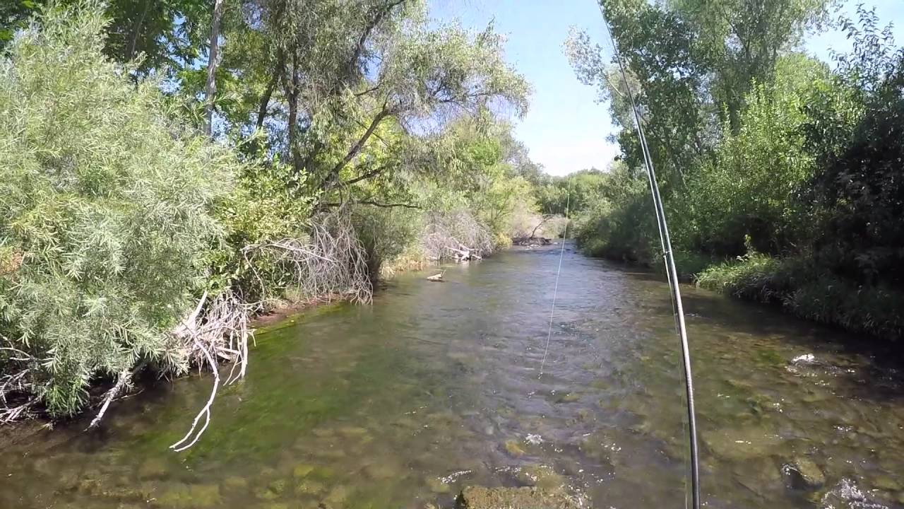 30-pound Brown Trout Provo River Outback