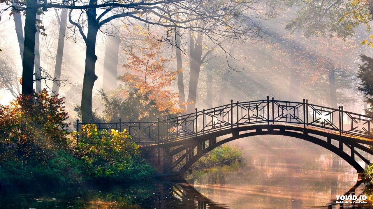 Shin Sekai Yori OST - Peace of Mind