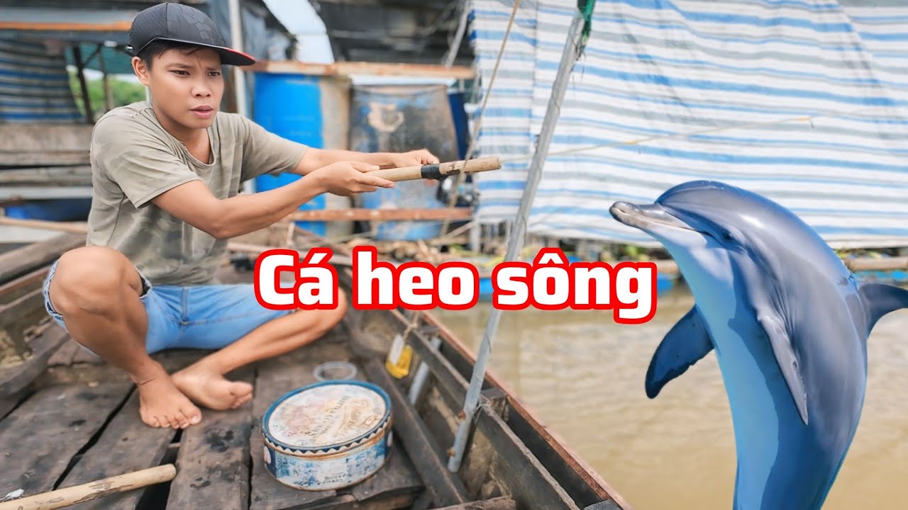 Câu cá heo sông | Khói Bếp - Tv 165#