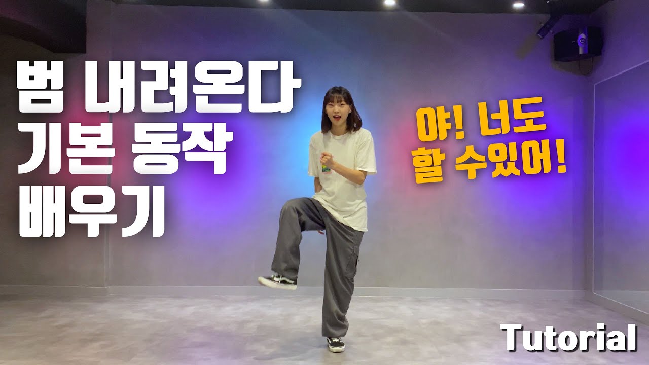범내려온다 안무 배우기  (초보자도 가능! ) 거울모드 | 앰비규어스 댄스 안무 | Leo Walk | 펀치바니