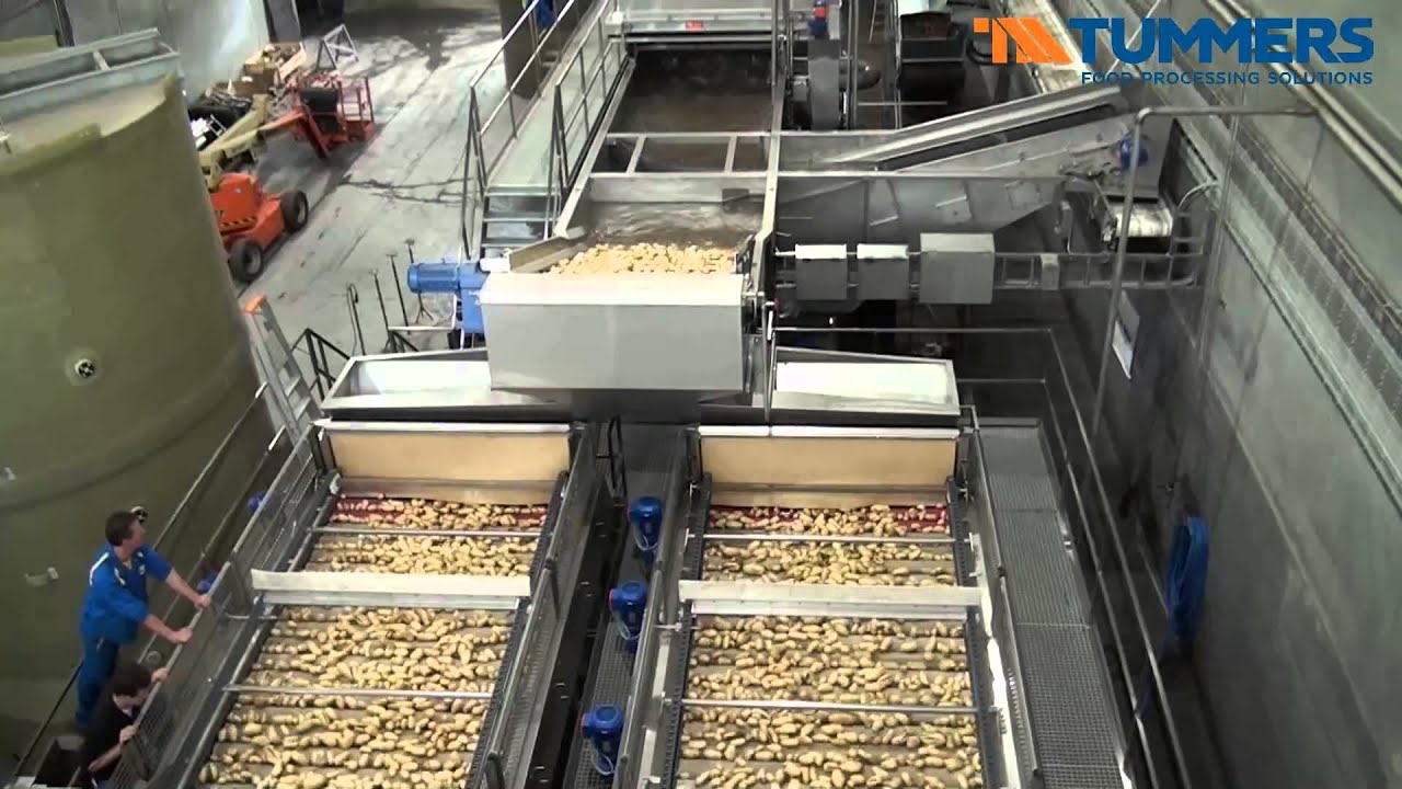 Tummers Sorting, Washing & Destoning Line 90 tonnes