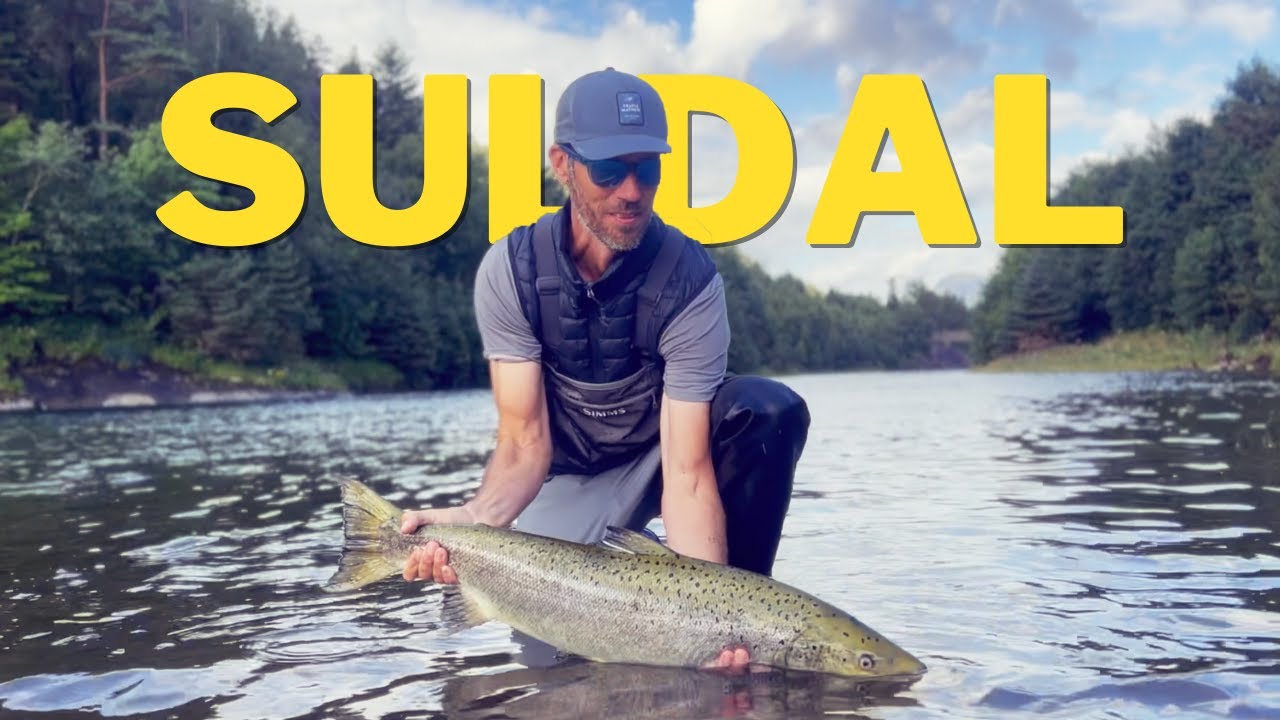 Suldal 2023: Fishing for Salmon in July