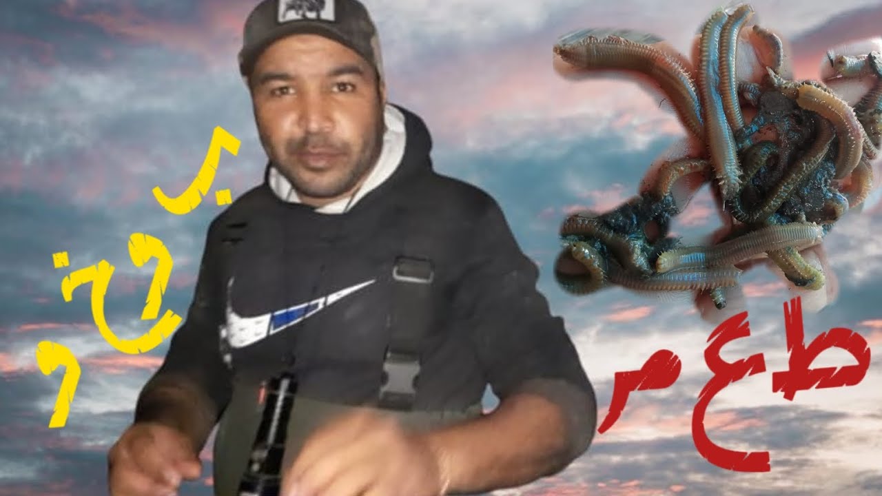 🚨طريقة جمع البوخو 🪱نوع من أنواع الدود 🪱🪱لصيد 🎣🎣أجود أنواع السمك🐟🐠🐙🦑