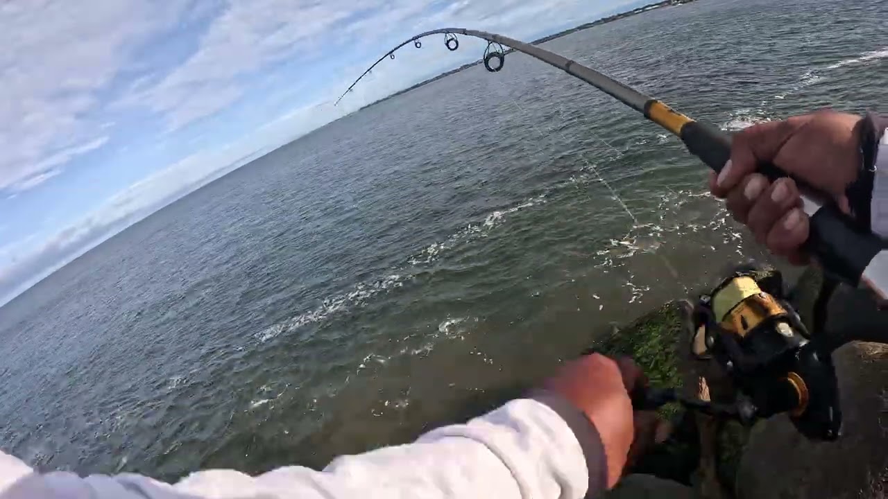 Por poco se lograba un triplete,  amigos  se activaron las sierras #pesca 