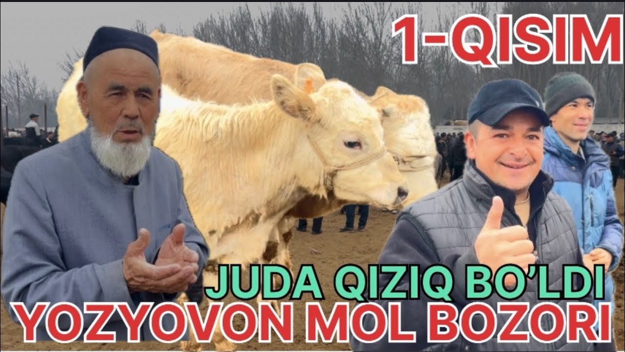 YOZYOVON MOL BOZORI 👍❤️☎️@boydada_uz  ОБУНА БУЛИШНИ УНУТМАНГ КАДИРДОНИМ 
