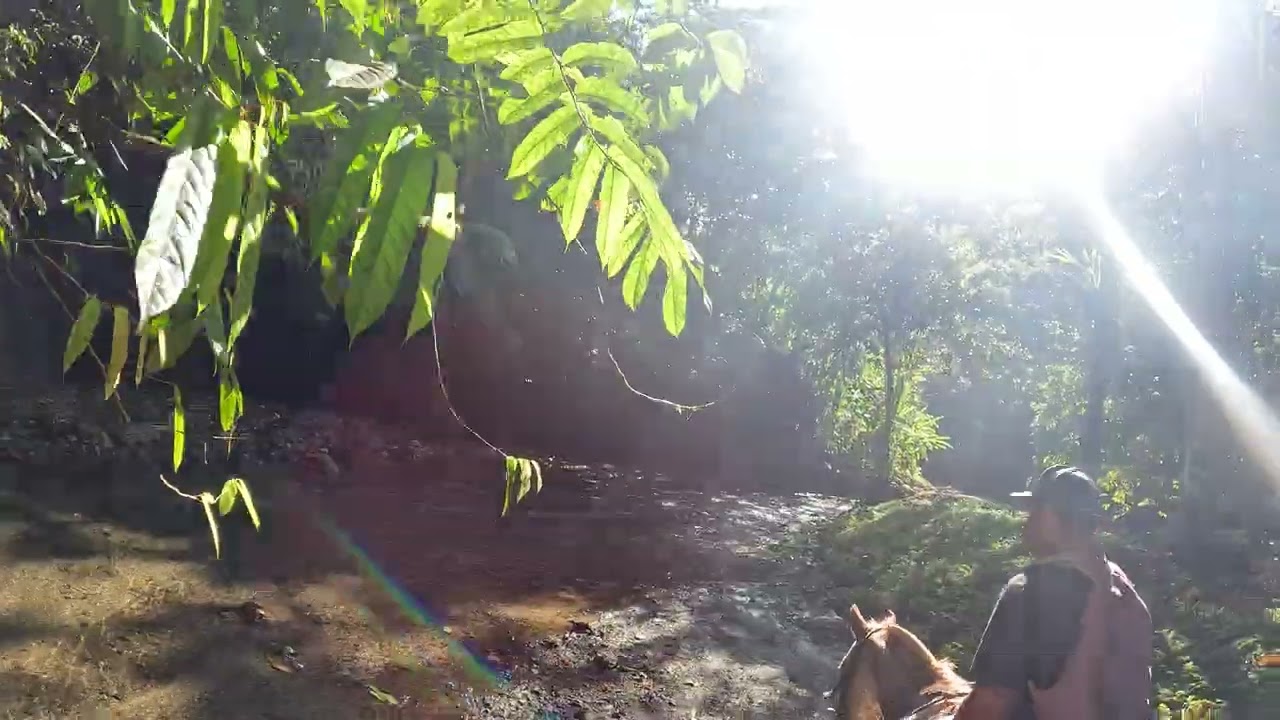 Horseback Riding in Beautiful Cañaza in Costa Rica - Part 3