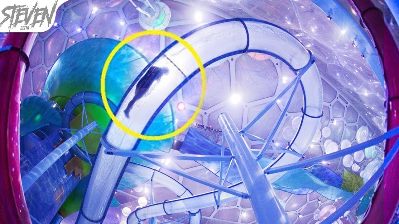 Top 7 Mejores Parques Acuáticos Del Mundo