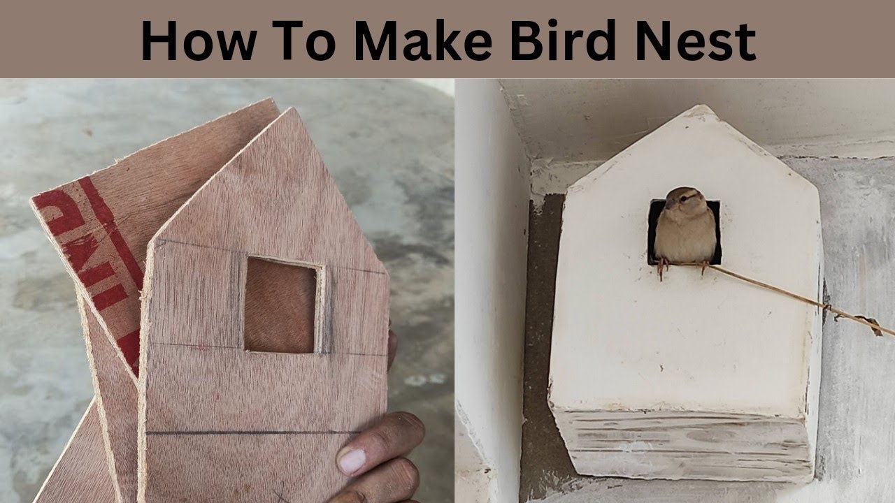 Making Bird House From Plywood /How to Make Sparrow Nest at home / घर पर बनाएं गौरैया का घोंसला