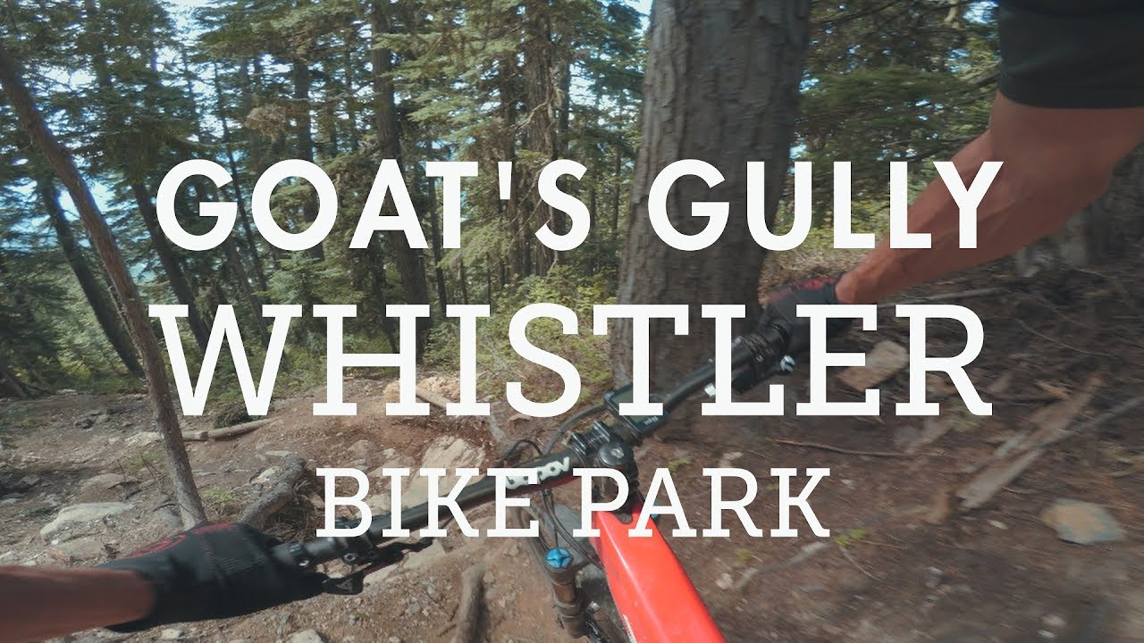 Mountain Biking 
